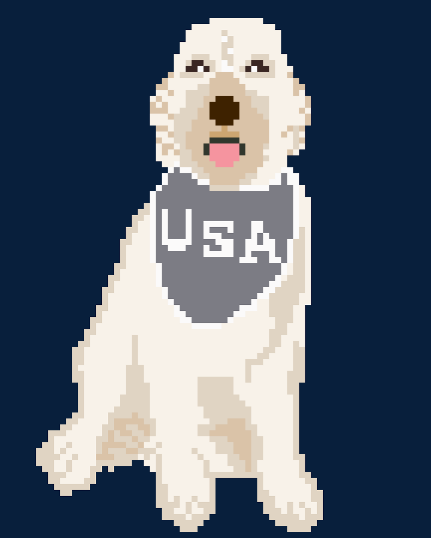 USA Doodle Dog