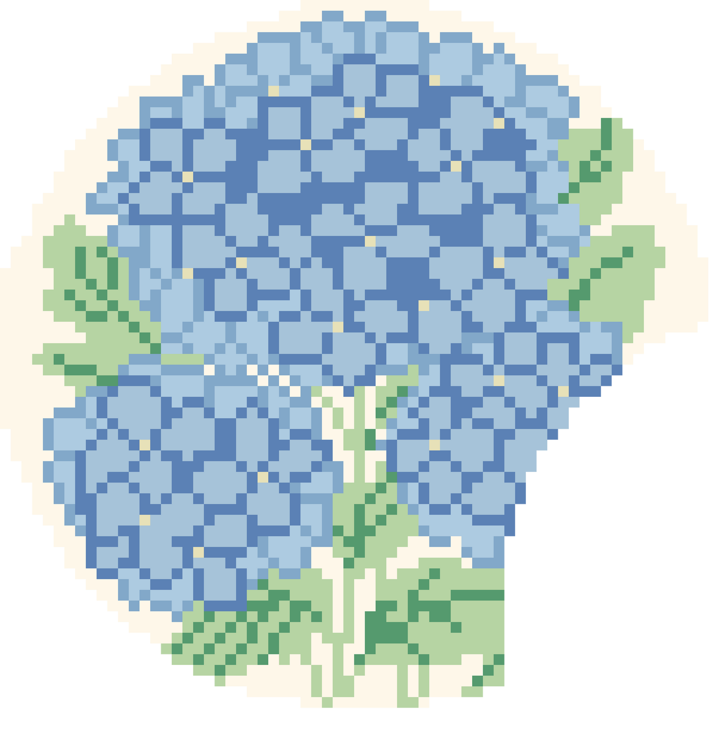 Mouse Ears - Hydrangeas